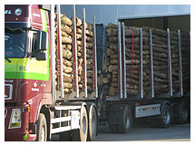 Levering rondhout